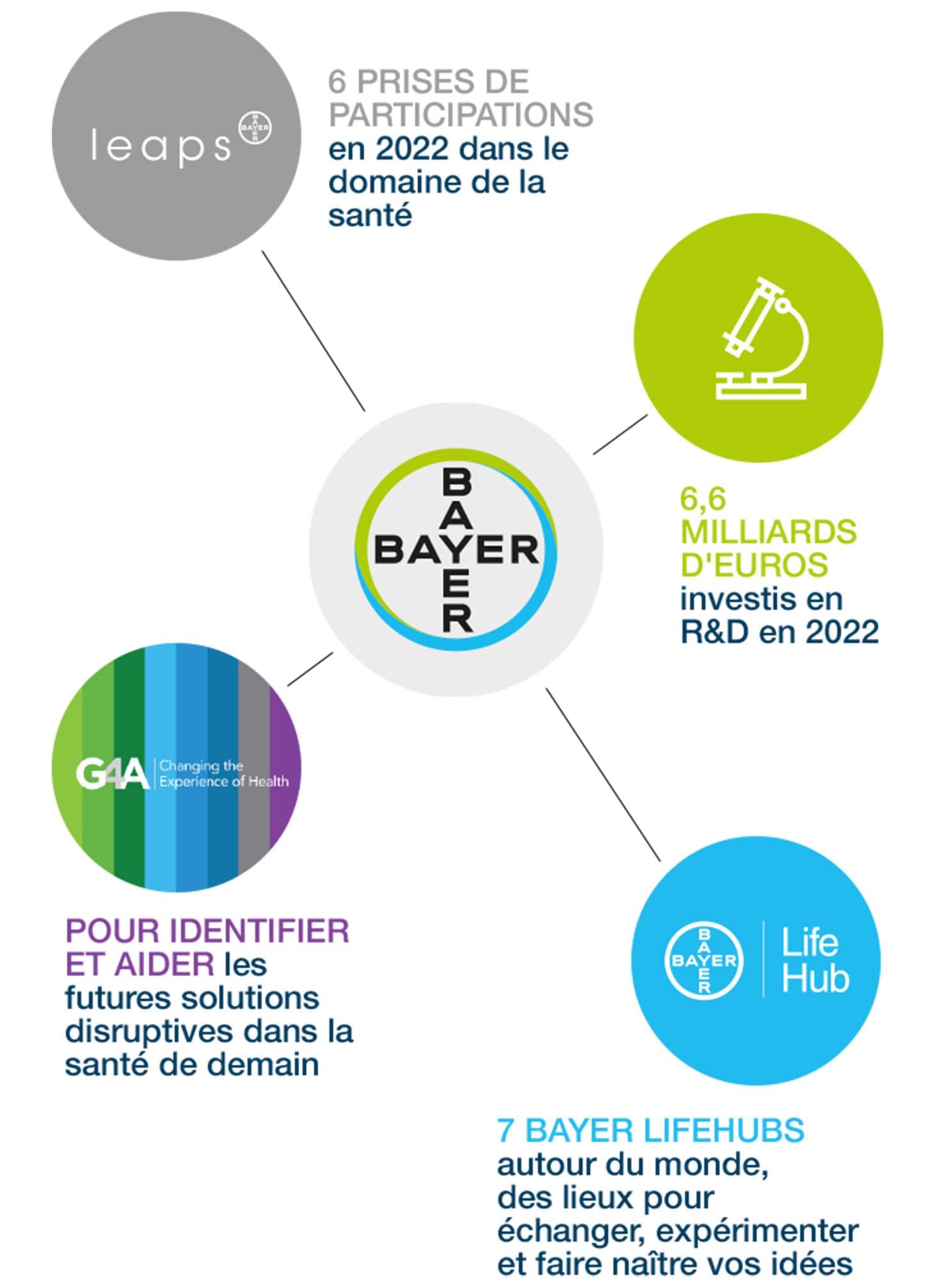 Bayer schema ia