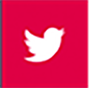 social twitter